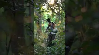 Wildlife Photography #shorts  #shortvideo  #short  #shortsfeed  #india  #nature  #birds  #jungle