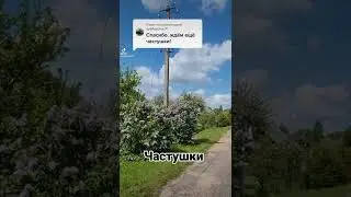 Деревня. Частушки