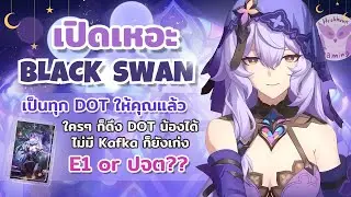 เปิดเหอะ Black Swan เพราะว่าน้องเป็นทุก DOT ให้คุณแล้ว ไม่จำเป็นต้องมีKafka l Honkai Star Rail