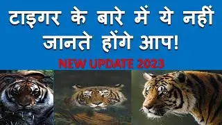 Tiger Senses & All Exam l More Information l AK SIR