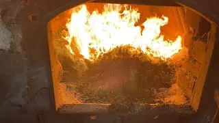 Кочегар с Баяном на Смене 🔥