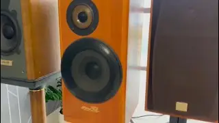 Даже японцы любят эту акустику (Victor sx 500 dolce eterno)
