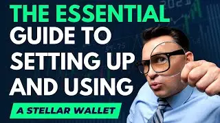 The Essential Guide to Setting Up and Using a Stellar Wallet