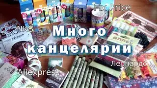 большие ПОКУПКИ КАНЦЕЛЯРИИ / Aliexpress, Fix Price, NKS, Леонардо