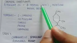 Volatile oils Mentha | mentha in pharmacognosy | chemical constituents of mentha | uses of mentha