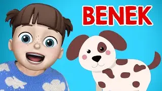 BENEK - Bir Çocuğun Köpeği Varmış - Eğlenceli Çocuk Şarkısı