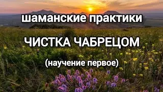 Шаманские практики. Самостоятельная чистка чабрецом. Научение первое