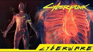 Cyberpunk 2077 - Where can you get Sandevistan: Prototype Chip Rare Cyberware Mod