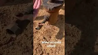 Oil well run first time in 4 years