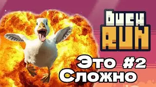 БЕГИ УТКА БЕГИ Duck Run #2