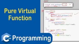 #104 Pure Virtual Function in C++ | C++ Programming