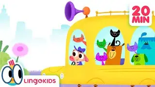 WE ❤️ CATS | Happy Cats Day 🐱❤️ with Lingokids Best Content for Kids