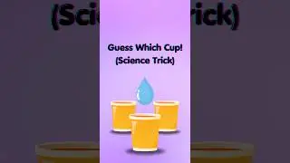 Guess Which Cup! MAGIC or SCIENCE? 