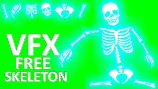 TOP 5 VFX SKELETON ANIMATED ELEMENTS FOOTAGE GREEN SCREEN