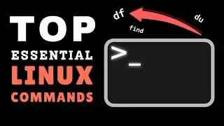 Master the Terminal: Top 5 Essential Linux Commands You Need to Know!