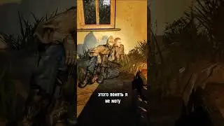Сталкер не перестаёт удивлять #shorts  #stalker #сталкер