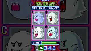 Which Sprite Is REAL? Super Mario World Edition (2) 