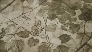 mezzotint
