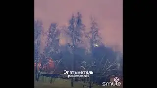 Опять метель...