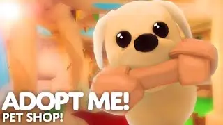 HOW TO BREAK INTO THE SECRET ADOPT ME VAULT (ROBLOX