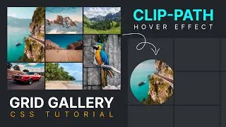 Awesome Grid Gallery with the CSS Clip Path Property Hover Effect