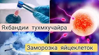 Яхбандии тухмхучайрахо. Дар кадом холат зарур аст.