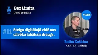 Steiga digitālajā vidē nav cilvēka labākais draugs. Saruna ar CERT.LV vadītāju Baibu Kaškinu