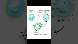 НЕ ПЕЙ СОДУ ОЩЕЛАЧИВАЙСЯ ПРАВИЛЬНО