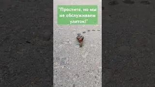 Заходит в бар улитка Продолжи анекдот #улитка #анекдоты #анекдот #юмор #приколы #прикол #топ #tiktok