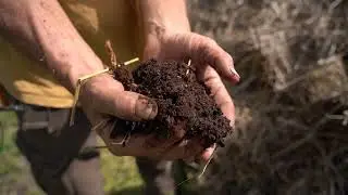 Permanent bed systems, composting and bed preparation in regenerative organic farming in Hungary