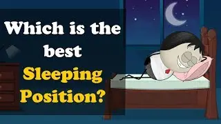 Which is the best Sleeping Position? + more videos | 