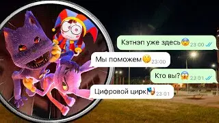 Цифровой цирк спасает меня от Кота Дремота