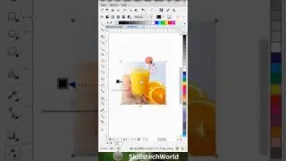 Transparency in Coreldraw | Coreldraw tutorial 