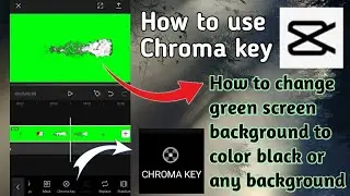 How to use chroma key in capcut - how to change green screen background