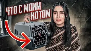 МОЙ ЧЁРНЫЙ КОТ - УБИЙЦА | ОН ОДЕРЖИМ😱 ПОМОГИТЕ МНЕ
