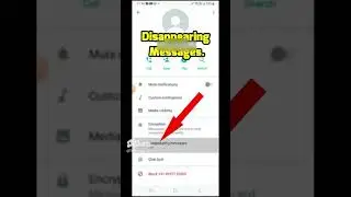 How to make WhatsApp Messages Disappear