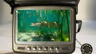 5 крутых камер для подводной рыбалки с Aliexpress