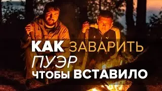 Как заварить чай Пуэр чтобы вставило. 10 правил успеха в чаепитии :)