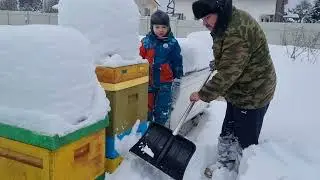 🔴 Защита пчёл от синиц при зимовке на улице. Очень простой способ для начинающих пчеловодов 🔴