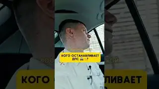 Кого останавливает ДПС? - Михеев и Павлов #авто #автообзор #водитель