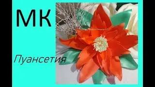 Пуансетия из изолона Мастер класс ростовые цветы