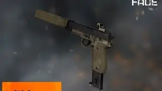 прямые руки и SIG Sauer P226 С на кв !!!!