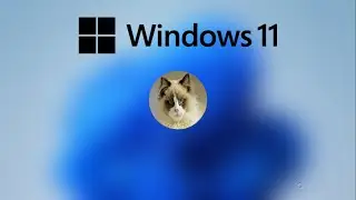 How to Set Profile Picture in Windows 11