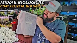 DEVO OU NÃO USAR MÍDIAS BIOLÓGICAS DENTRO DAS BAGS?