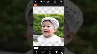 Custom shape tool