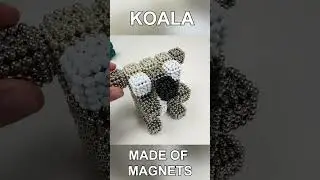 Magnetic Koala