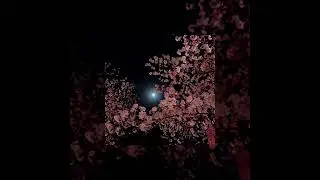 Агата Кристи - В такси (slowed vhs)