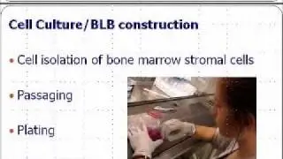 Utilizing Bone Marrow Stromal Cells to Engineer Grafts for Anterior Cruciate Ligament Repair