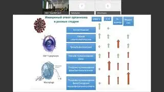 COVID 19 алгоритм диагностики, лечения и выписки