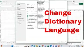 How to Change the Dictionary Language Used in Microsoft Excel! Proof Excel More Accurately #msexcel